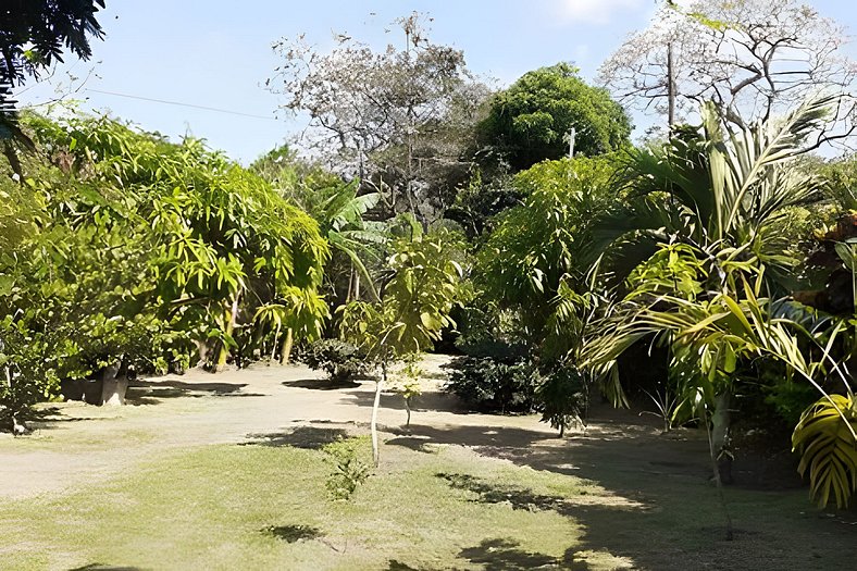 El Valle de Antón vista exclusiva en la naturaleza