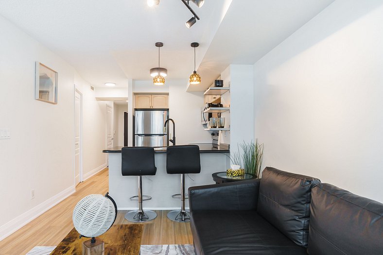 Gorgeous 2 bed, 2 bath Downtown Toronto W/Parking