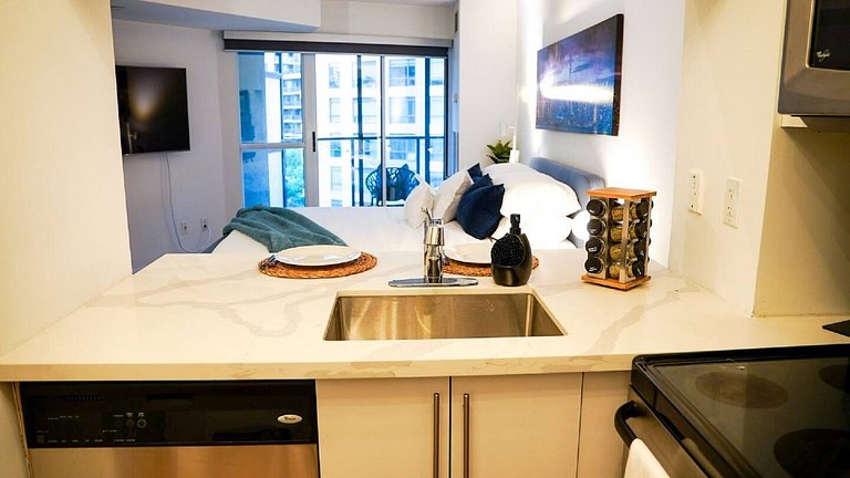 Spacious Studio in the Heart of Downtown Toronto