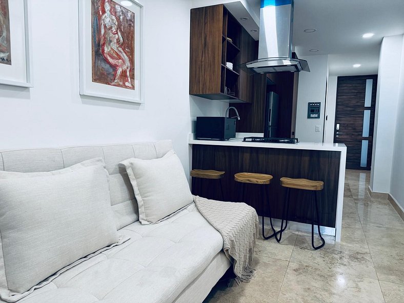 Stylish Condo in Zona Romántica